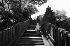 この坂を上ると故郷が見える