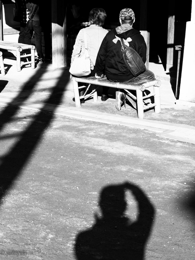 蜘蛛のスナップ