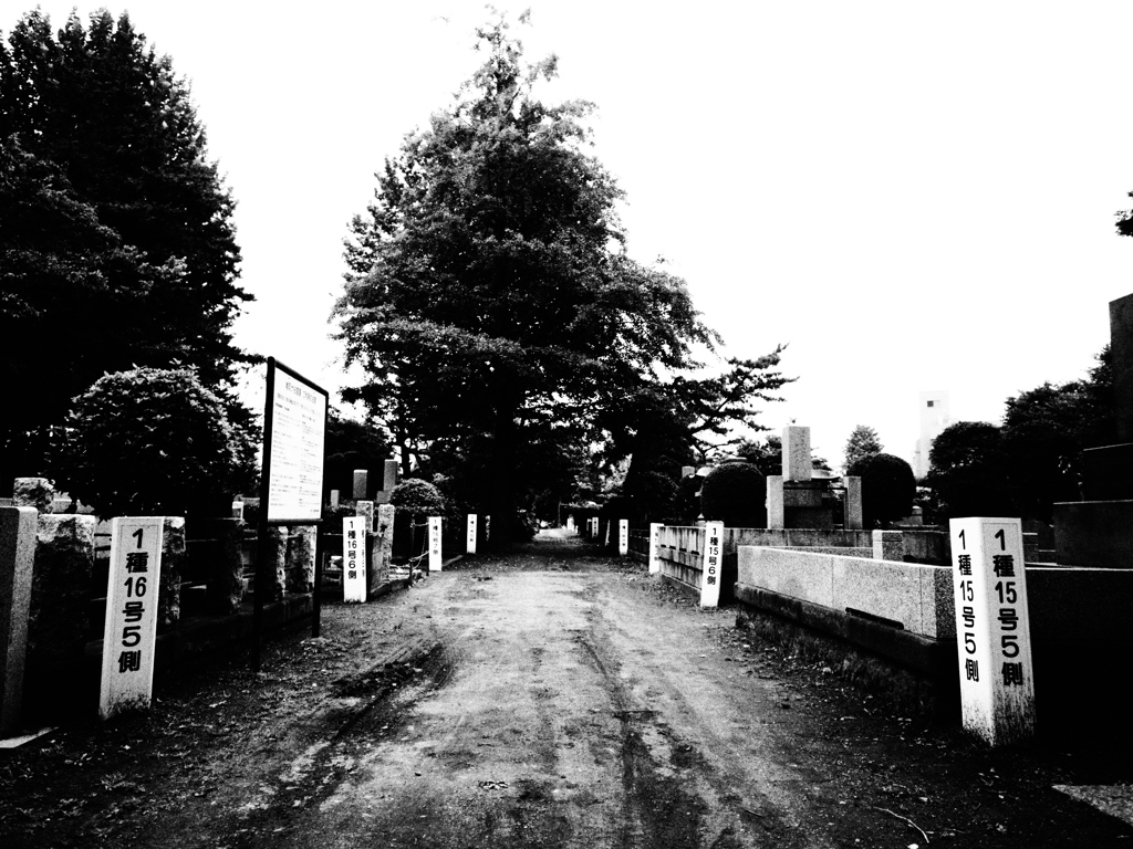 寂しいときは墓へ行け