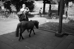 馬を飼っていた人・・・区内