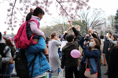 枝を触ってるのは誰か