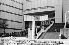 それぞれの休日