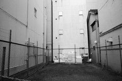 前略おふくろ様