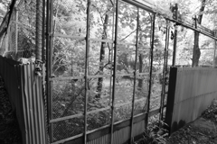 そこは詮索しちゃいかん