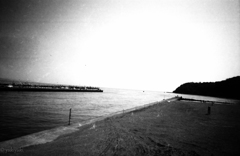 ブルーオーシャン