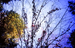 とりあえず空を