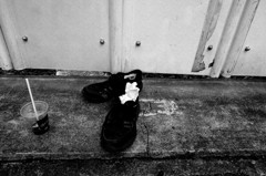 このコラボは誰の仕業