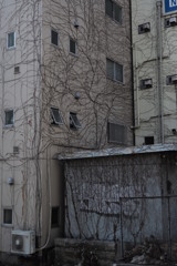 何かキモくなってないか