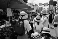 母さん僕のあの麦わら帽子、どこへ行ったんでしょうね