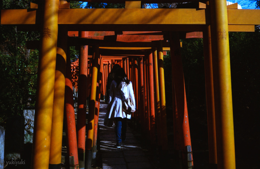 彼女の初詣
