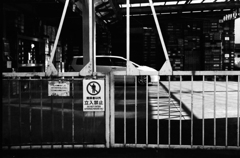 フェンスの向こうの日曜日