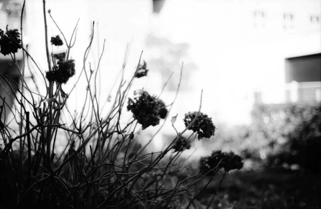 モワっとしたむなしさ