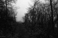 悪魔の棲む森　最終章