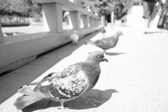 お前、目がいってるぞ