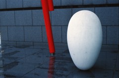 路上たまご