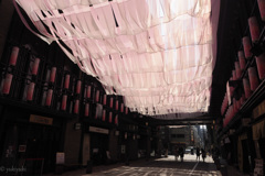 桜色の季節
