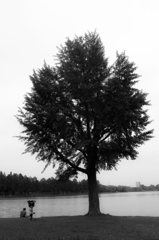 思えばここまで来たものだ