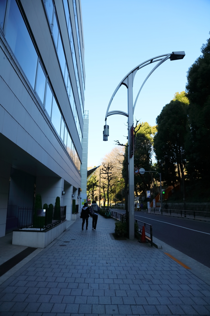 彼らの冬は暖かった