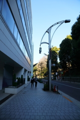 彼らの冬は暖かった