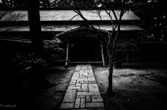 北越物語　行けるかい