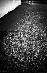 落ち葉を踏んだ二人