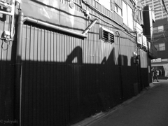 陽のあたる路地