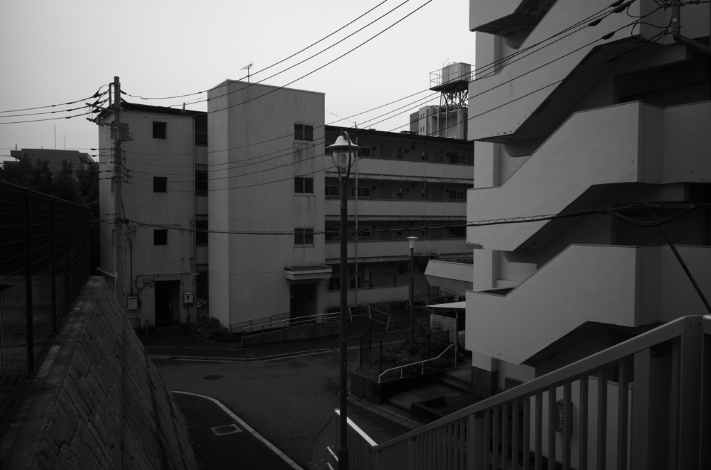 なんとなく昭和枯れすすき