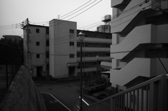 なんとなく昭和枯れすすき