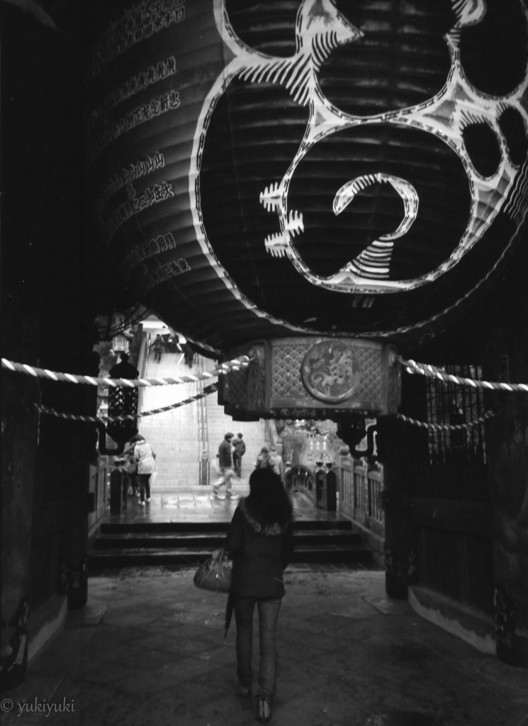 雨の参拝