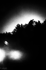 バス車窓　フィルム