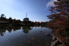 日本庭園の午後