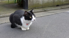 あれ？気づいてない？