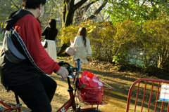 紅葉見ないで何を見る？