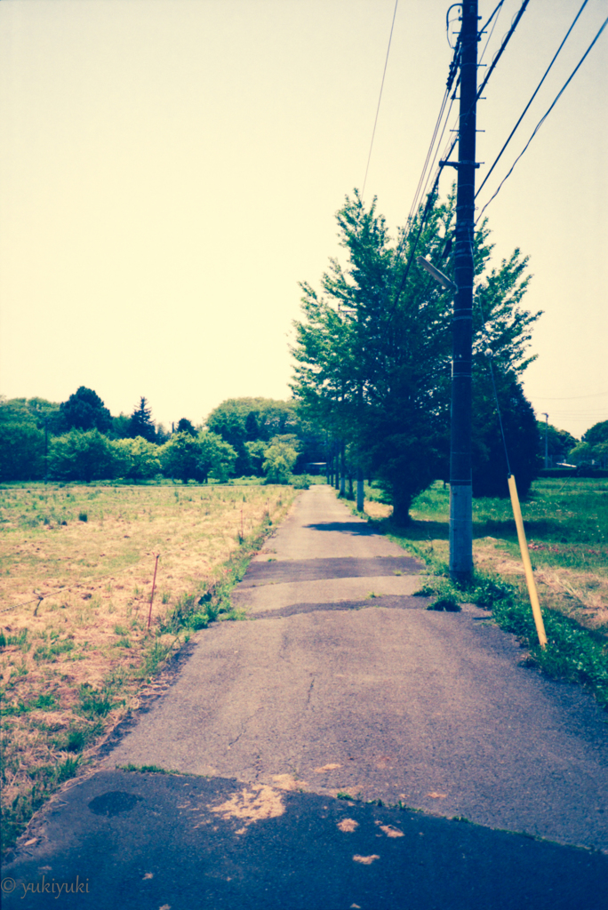 のんびりとした道、しかし俺の時間は止まってくれなかった