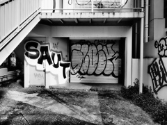 SAUT