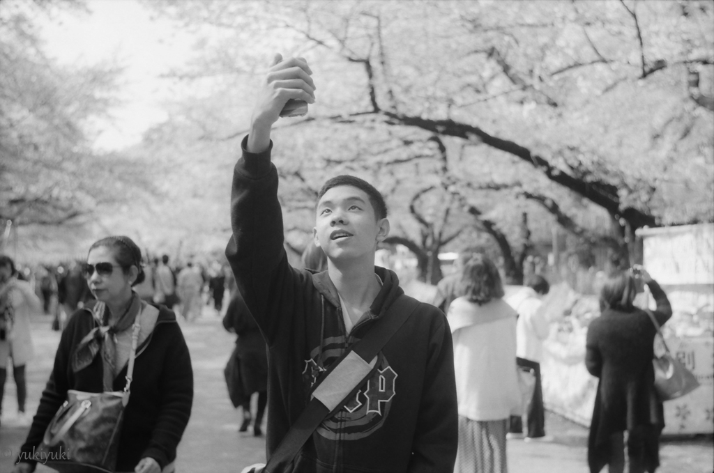 蔵桜　少年