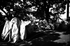 美しきバイク達