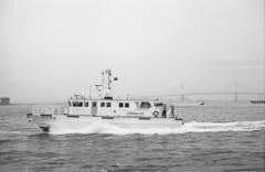 あれ、変な奴が乗ってるぞ