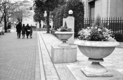 ファミリー行進曲