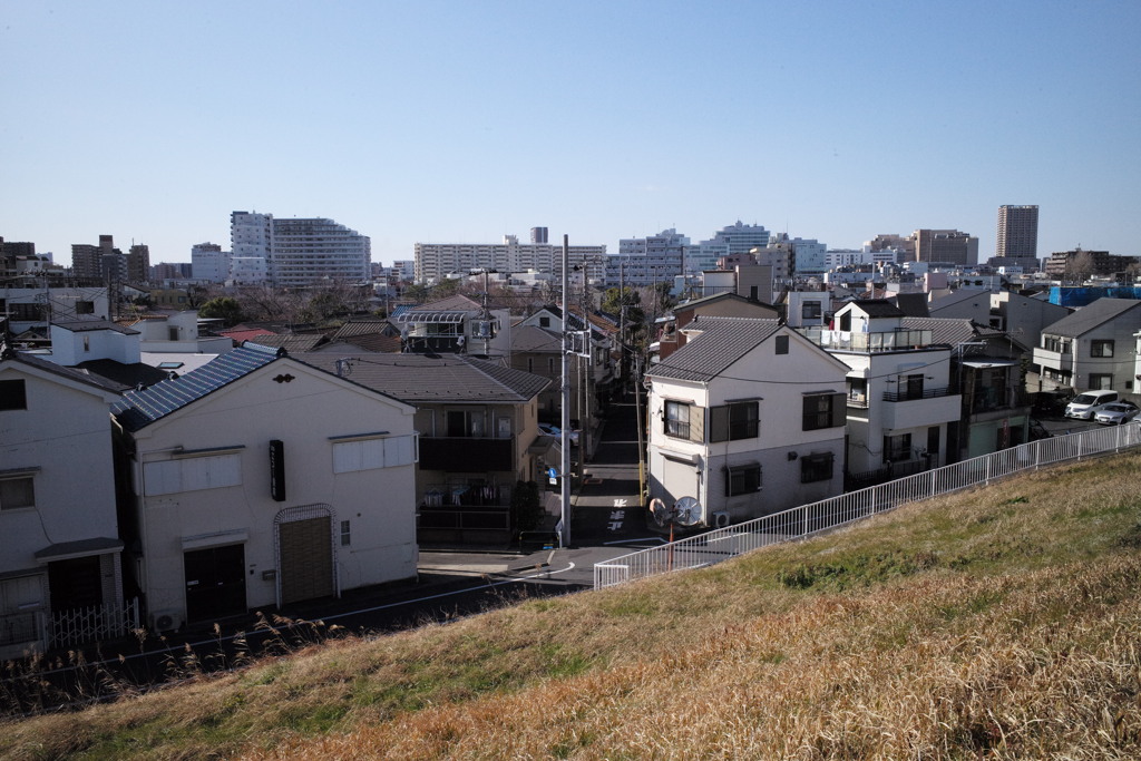 蜘蛛として　３年Ｂ組ゆきゆき先生