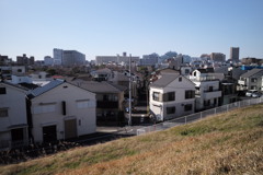 蜘蛛として　３年Ｂ組ゆきゆき先生