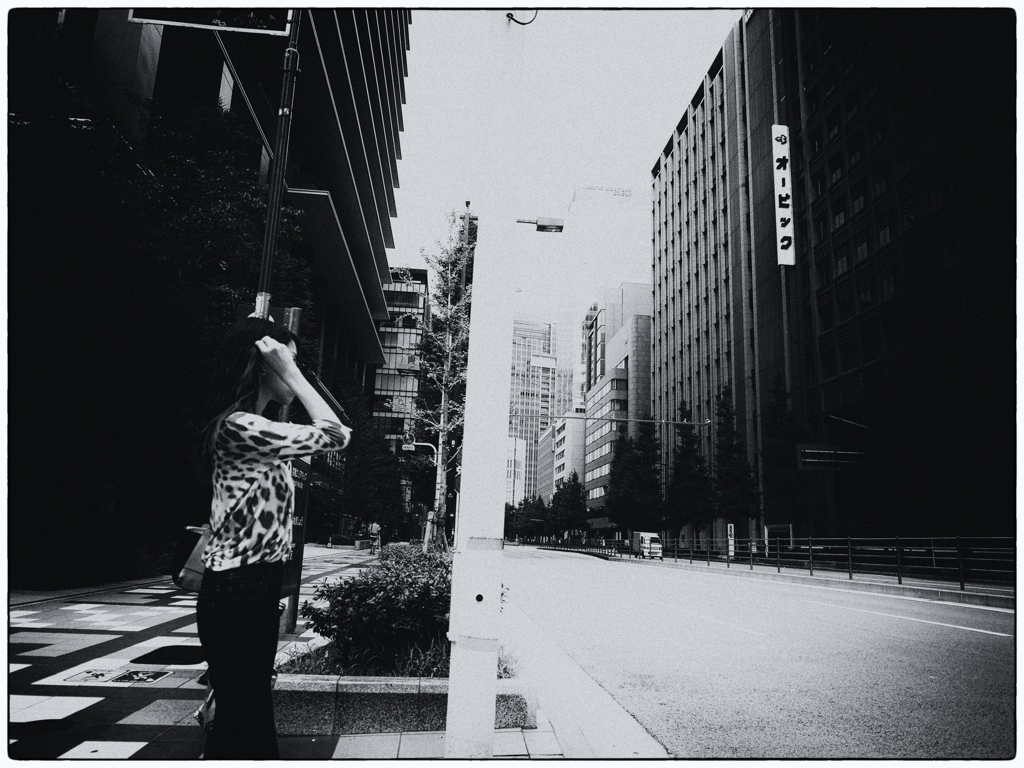 都会ジャングル