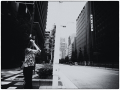 都会ジャングル