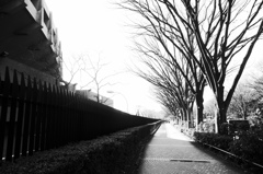 木が凄いことになっていた
