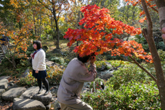 拙者は接写した