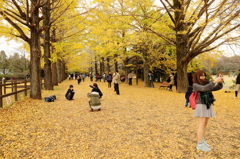 それぞれの・・・