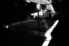 フェンスの向こうの光