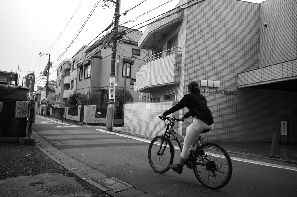 サイクリングヤッホー　躍動