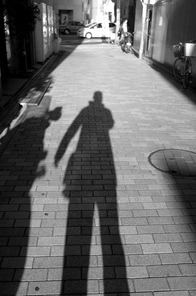 襲われたが冷静な蜘蛛