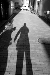 襲われたが冷静な蜘蛛